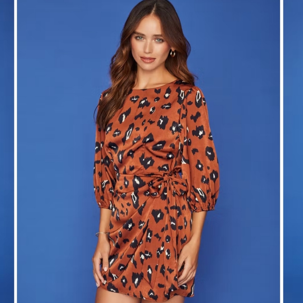 VICI Murphy Leopard Faux Wrap Mini Dress
